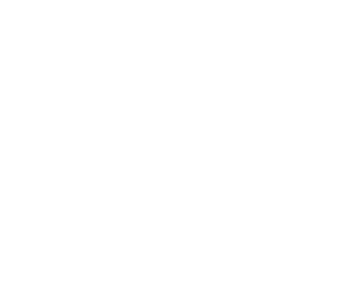 Rapid Auto Protection Logo White